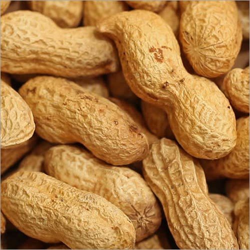 Raw Groundnut